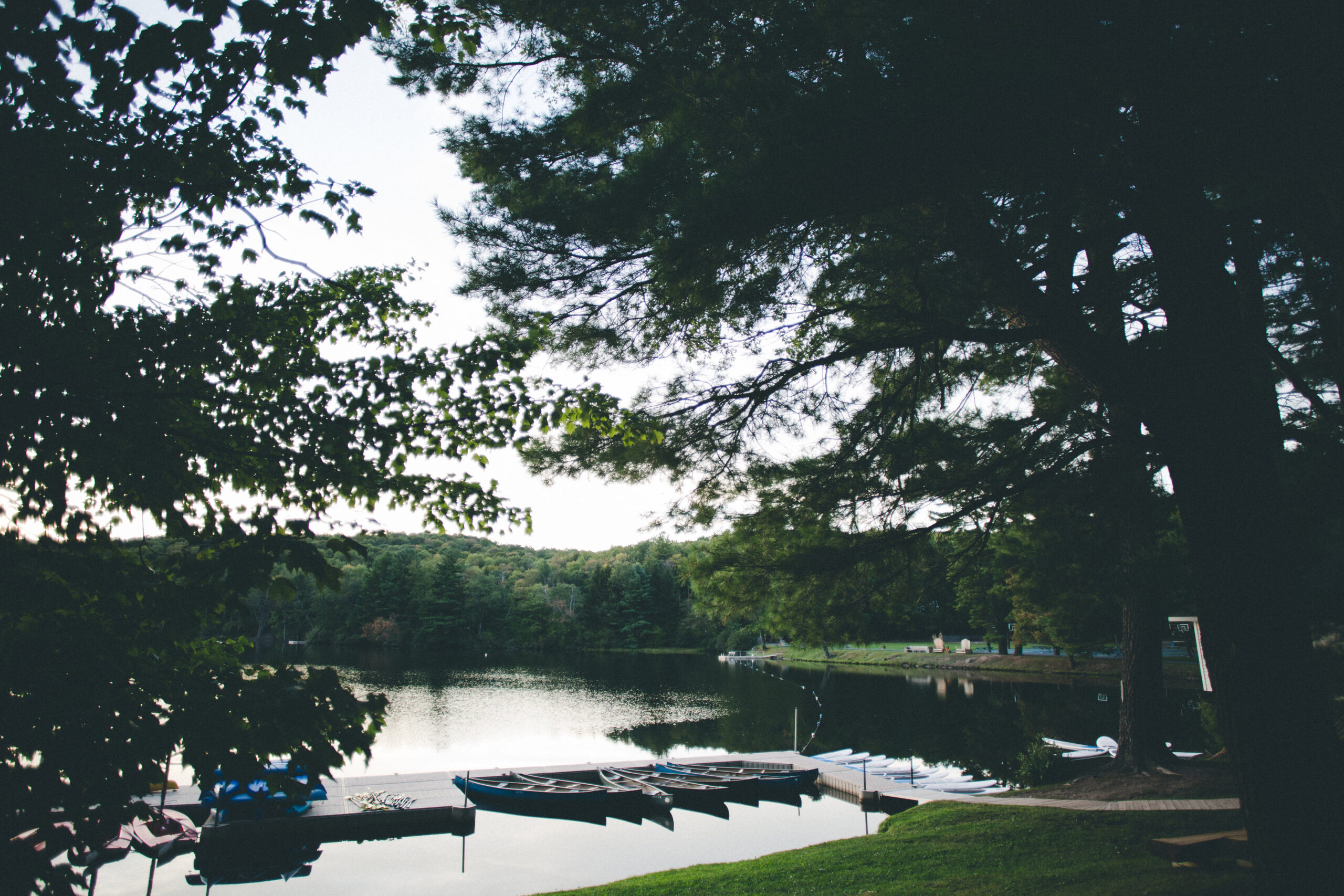 Go Into the Woods…and Leave Your Baggage Behind