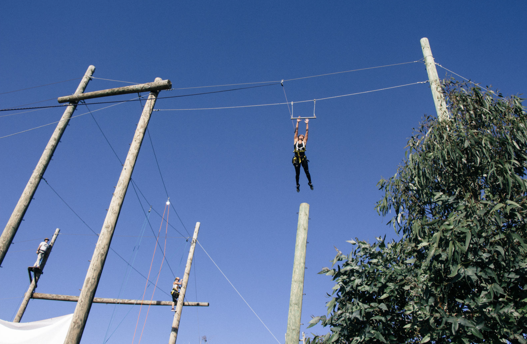 Trust Falling 101